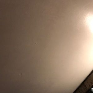 Meet your Posher, Sandy